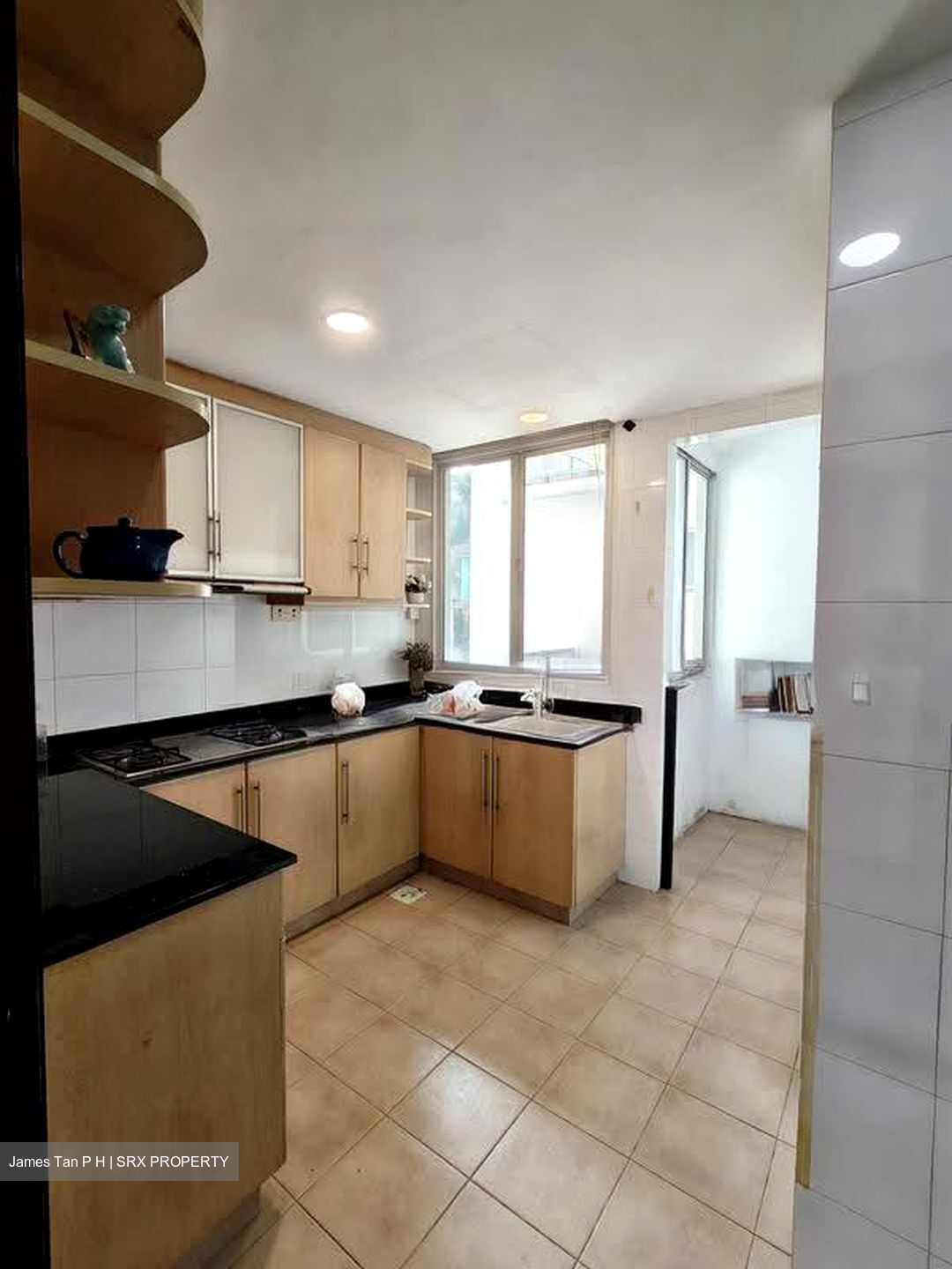 Moonstone Residences (D12), Apartment #615274691